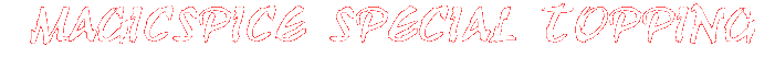 MAGICSPICE SPECIAL TOPPING 