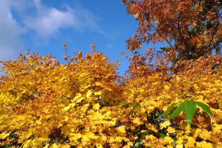 00-2010-10-7-ニセコ 096.jpg