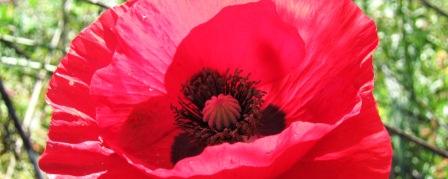 00-2010-10-7ニセコ 004.jpg