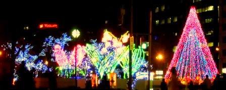 00-2010-12ホワイトイルミ 002-2.jpg
