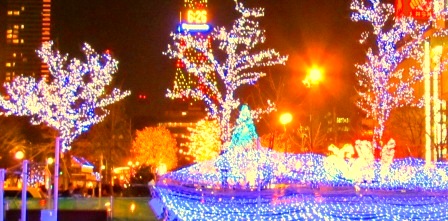 00-2010-12ホワイトイルミ 008.jpg