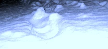 00-2010-12ホワイト白石 007.jpg