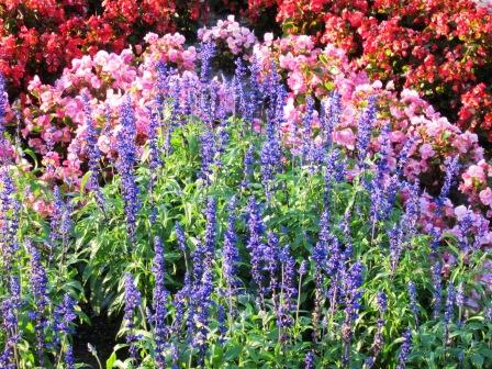 00-2010-9-19 028.jpg