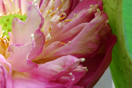 2011-3-アンコール＆タイ 21★.jpg