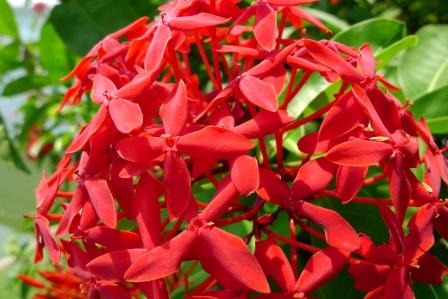 2011-3-アンコール＆タイ 282★.jpg