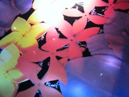 2011-3-アンコール＆タイ-2 037.jpg