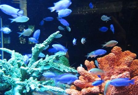 2011-4-登別温泉 163.jpg