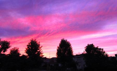 2011-9-20～白石-近郊 012.jpg