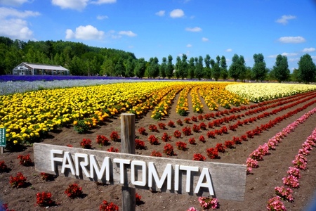 2012-7-25 富良野 022.jpg