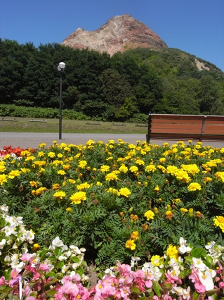 R0011246.JPGのサムネール画像