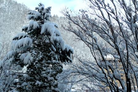 定山渓雪景色01.JPGのサムネール画像